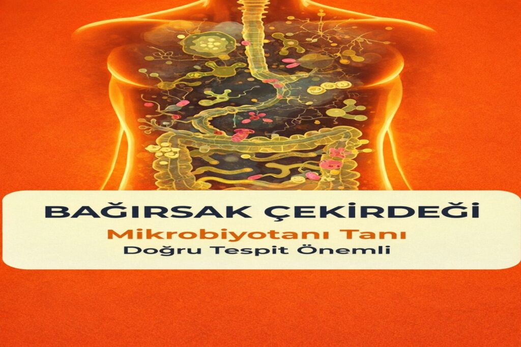 mikrobiyota analizi & beslenme diyetisyen lale baran